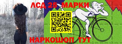apvp Аша