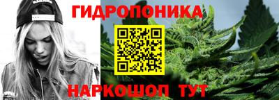 прущие грибы Ачхой-Мартан