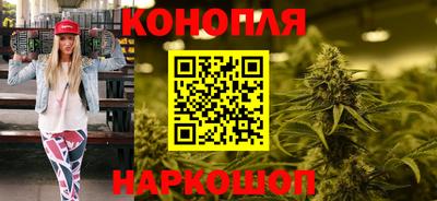 прущие грибы Ачхой-Мартан