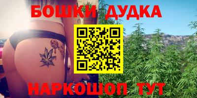 apvp Аша