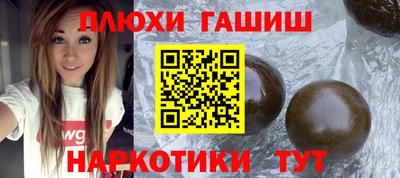 apvp Аша