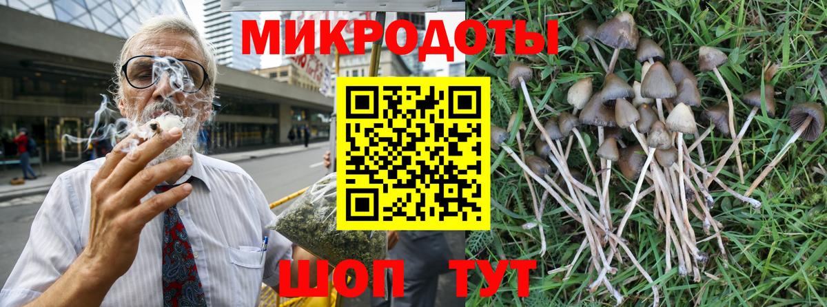 Галлюциногенные грибы Psilocybine cubensis Петрозаводск